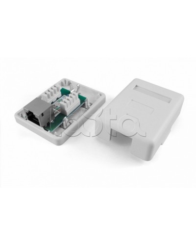 Розетка компьютерная RJ-45(8P8C) Hyperline SB1-1-8P8C-C5e-SH-WH в Липецке Розетки компьютерные и телефонные Pintop.ru