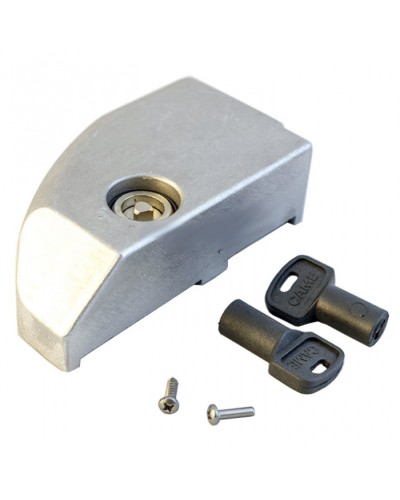 Дверца замка разблокировки BK Came 119RIBK012 в Липецке Запчасти для шлагбаумов и автоматики Pintop.ru