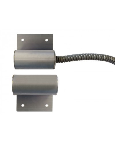 Извещатель охранный точечный магнитоконтактный Магнито-Контакт ИО 102-100 Магнито-Контакт исп.10 в Липецке Извещатели охранные Pintop.ru