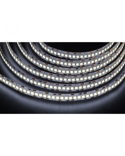 Лента светодиодная Navigator 14 459 NLS-2835CW240-24-IP20-12V в Липецке Источники света(Лампы) Pintop.ru