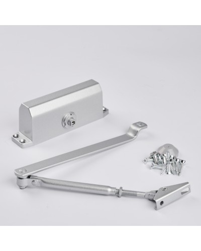 Доводчик R-Lock RL-DCM-EN3-00S в Липецке Доводчики Pintop.ru