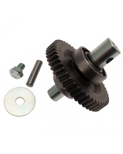 Шестерня редуктора FAST в сборе Came 119RID229 в Липецке Запчасти для шлагбаумов и автоматики Pintop.ru