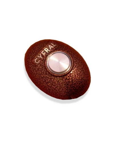 Кнопка открывания двери Цифрал КОДсП-4 в Липецке Многоабонентные устройства Pintop.ru