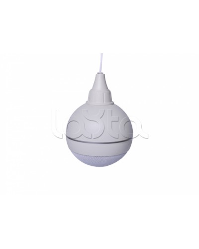 Оповещатель речевой подвесной ТРОМБОН Глагол ПШ-10 в Липецке Система оповещения и трансляции Pintop.ru