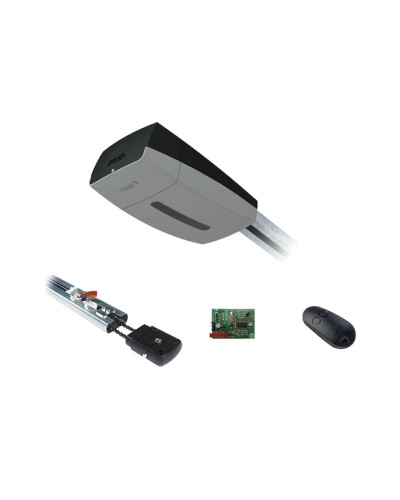 Came V10DMS3.25 KIT (до 3,25 м до 18 м2) - Комплект автоматики для секционных ворот высотой до 2,7 м на основе привода VER10DMS в Липецке Автоматизация ворот Pintop.ru