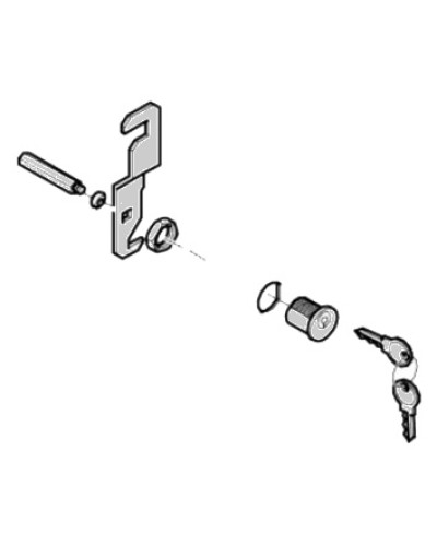 Замок дверцы G4040 G4041 Came 119RIG176 в Липецке Запчасти для шлагбаумов и автоматики Pintop.ru