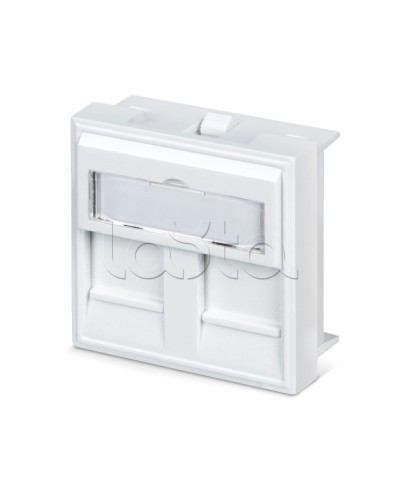 Вставка 45x45 (аналог Mosaic) для 2 модулей формата Keystone Jack Cabeus FP-45-2M в Липецке Модули Keystone Pintop.ru