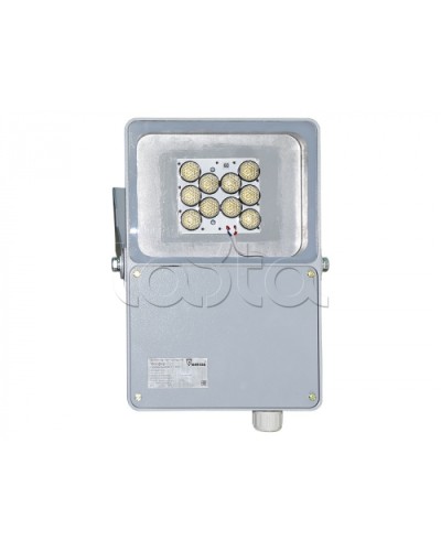 Прожектор светодиодный Forteza ФОСФОР-40/60-А (металл) в Липецке Аксессуары для средств охраны периметра Pintop.ru