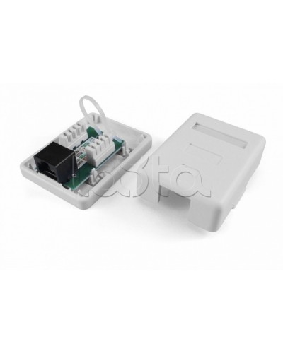 Розетка компьютерная RJ-45(8P8C) Hyperline SB1-2-8P8C-C6-SH-WH в Липецке Розетки компьютерные и телефонные Pintop.ru