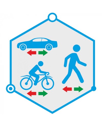 ПО детектор движения в запрещенном направлении TRASSIR Direction Detector в Липецке Системы видеонаблюдения Pintop.ru