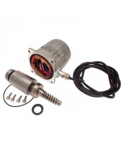 Электродвигатель FROG-A в сборе Came 119RIA061 в Липецке Запчасти для шлагбаумов и автоматики Pintop.ru