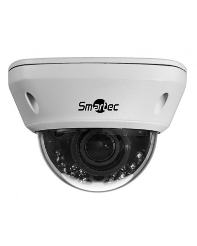 IP-камера видеонаблюдения купольная Smartec STC-IPM5591/1 в Липецке IP-камеры Pintop.ru
