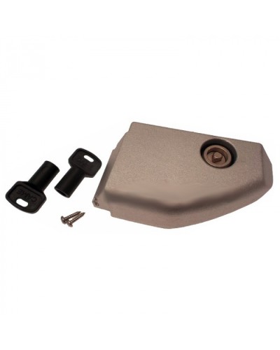 Дверца разблокировки с замком BX Came 119RIBX008 в Липецке Запчасти для шлагбаумов и автоматики Pintop.ru