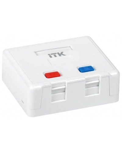 Корпус настенной розетки для 2 мод. Keystone Jack ITK (CS2-022) в Липецке Коннекторы Pintop.ru