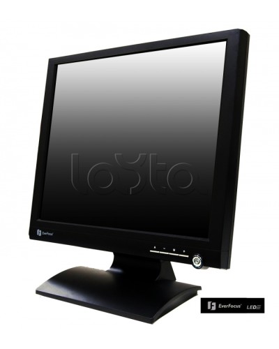 Монитор профессиональный EverFocus FH-19LED в Липецке Мониторы для видеонаблюдения Pintop.ru