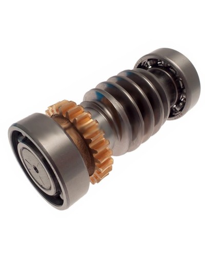 Червяк FROG Came 119RIA016 в Липецке Запчасти для шлагбаумов и автоматики Pintop.ru