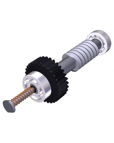 Червяк редуктора FAST40 Came 119RID374 в Липецке Запчасти для шлагбаумов и автоматики Pintop.ru