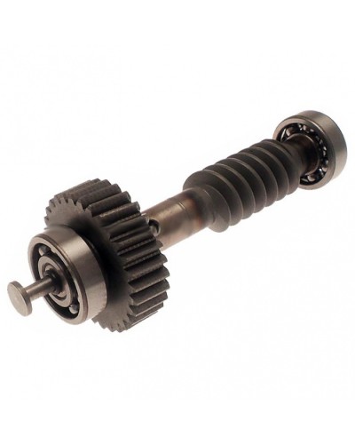 Червяк редуктора FAST в сборе Came 119RID228 в Липецке Запчасти для шлагбаумов и автоматики Pintop.ru