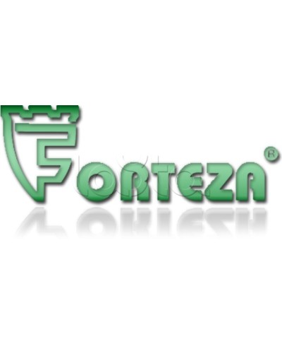 Плата сменная Forteza Плата БГр-4 в Липецке Устройства защиты операционных процессоров (ОПС) Pintop.ru