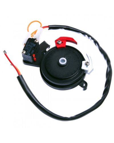 Концевые микровыключатели в сборе BX-243 Came 119RIBX041 в Липецке Запчасти для шлагбаумов и автоматики Pintop.ru