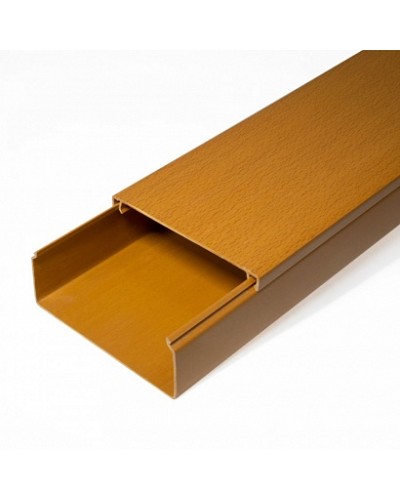 Кабель-канал бук 2-й замок в п/э 100х40 (8 м/уп) Промрукав (PR03.0206) в Липецке Огнестойкие кабельные линии Pintop.ru