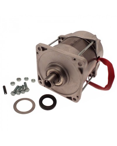 Электродвигатель FERNI Came 119RID087 в Липецке Запчасти для шлагбаумов и автоматики Pintop.ru