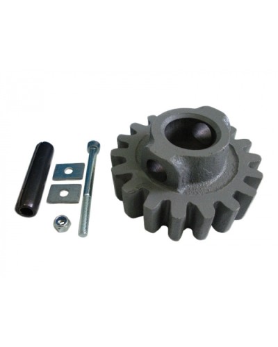 Шестерня ведущая ВК Came 119RIBK002 в Липецке Запчасти для шлагбаумов и автоматики Pintop.ru