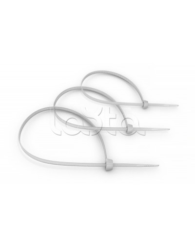 Стяжка нейлоновая неоткрывающаяся, безгалогенная (halogen free) 100x2.5мм, (100 шт) Cabeus CT-100 в Липецке Аксессуары для кабель-канала Pintop.ru