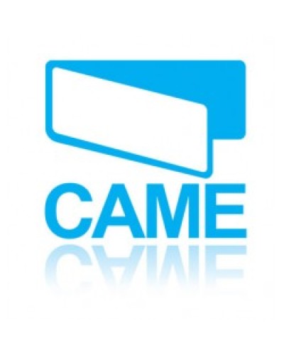 Конденсатор 31 MKF Came 119RIR299 в Липецке Запчасти для шлагбаумов и автоматики Pintop.ru