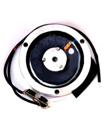 Электромагнит BY1500T Came 119RIY034 в Липецке Запчасти для шлагбаумов и автоматики Pintop.ru