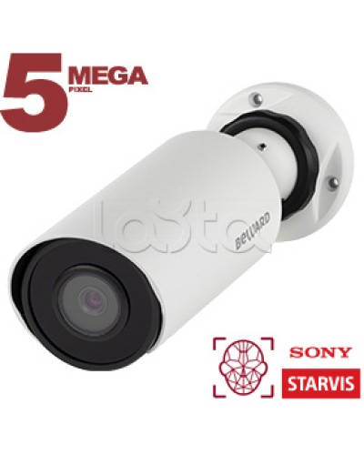 IP-камера видеонаблюдения в стандартном исполнении Beward SV3218R2 2.8 в Липецке IP-камеры Pintop.ru