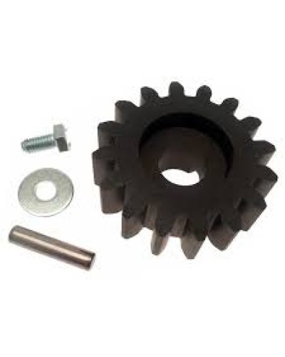 Шестерня для цепной передачи Came 119RIBK036 в Липецке Запчасти для шлагбаумов и автоматики Pintop.ru