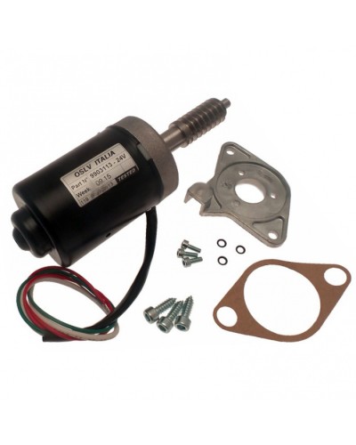 Электродвигатель BX-243 в сборе Came 119RIBX046 в Липецке Запчасти для шлагбаумов и автоматики Pintop.ru