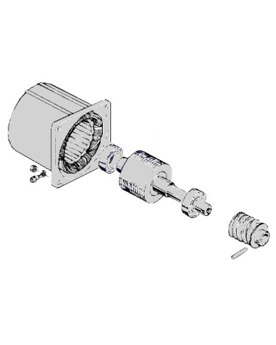 Электродвигатель С-100 Came 119RIC052 в Липецке Запчасти для шлагбаумов и автоматики Pintop.ru