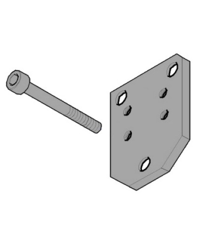 Пластина монтажная FLEX Came 119RID143 в Липецке Запчасти для шлагбаумов и автоматики Pintop.ru
