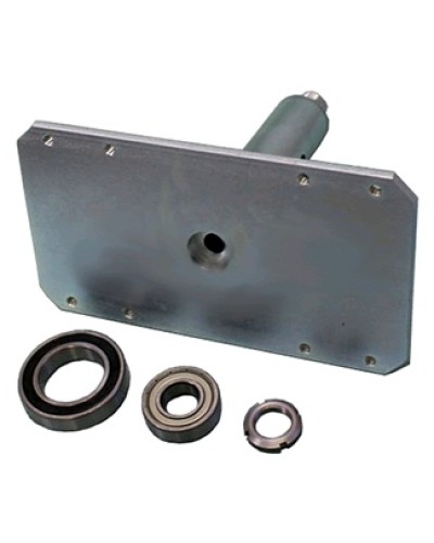 Электромагнит с механизмом разблокировки Came 119RIH022 в Липецке Запчасти для шлагбаумов и автоматики Pintop.ru