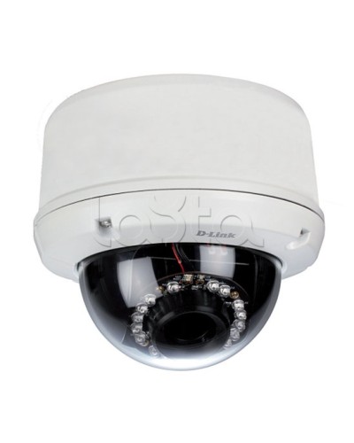 IP-камера видеонаблюдения уличная купольная D-Link DCS-6510/EP в Липецке IP-камеры Pintop.ru