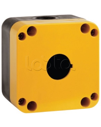 Корпус под кнопочный пост, 2 места DKC AK02 в Липецке Аксессуары для стоек и шкафов Pintop.ru