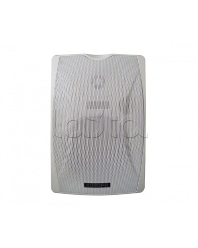 IP-громкоговоритель DSPPA POE-6463W в Липецке Система оповещения и трансляции Dsppa Pintop.ru