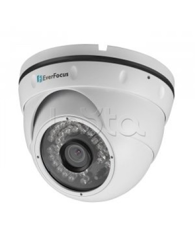 IP-камера видеонаблюдения купольная EverFocus ACE-IAV30 в Липецке IP-камеры Pintop.ru