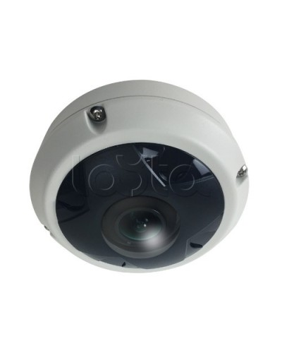 IP-камера видеонаблюдения купольная EverFocus ACE-KU89F в Липецке IP-камеры Pintop.ru