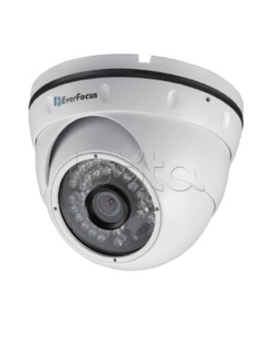 IP-камера видеонаблюдения уличная купольная EverFocus EBN-268 в Липецке IP-камеры Pintop.ru