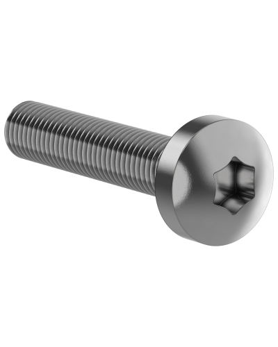 Винт М6х30 IEK (FO-00D-VTORX-M6X30-020) в Липецке Аксессуары для стоек и шкафов Pintop.ru