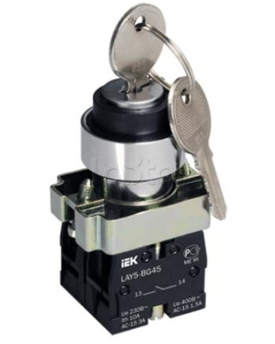 Переключатель LAY5-BG45 на 2 положения с ключом без фиксации IEK BSW80-BG-2-K02 в Липецке Аксессуары для стоек и шкафов Pintop.ru