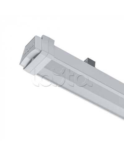 Светильник Navigator 93 650 DSO-01-40-6.5K-IP65-LED-A1 в Липецке Светильники Pintop.ru