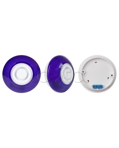 Оповещатель комбинированный SLT Марс 12-КП (строб, син) в Липецке Оповещатели Pintop.ru