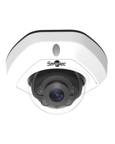 IP-камера видеонаблюдения уличная купольная Smartec STC-IPM3540/1 в Липецке IP-камеры Pintop.ru