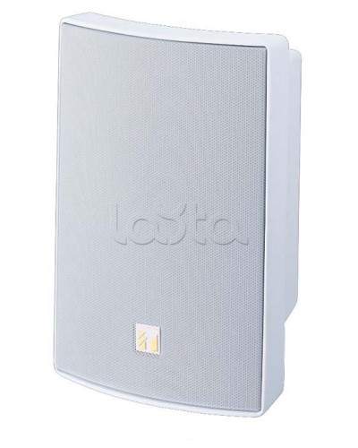 Громкоговоритель универсальный двухполосный TOA BS-1030W в Липецке Системы оповещения и трансляции TOA Pintop.ru