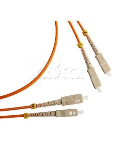 Патч-корд оптический TWT-2ST-2FC/SU-20 в Липецке Патч-корды оптические Pintop.ru