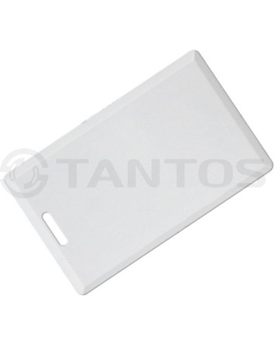 Карта толстая формата Temic Tantos Temic (толстая) TS в Липецке Оптовые идентификаторы Pintop.ru